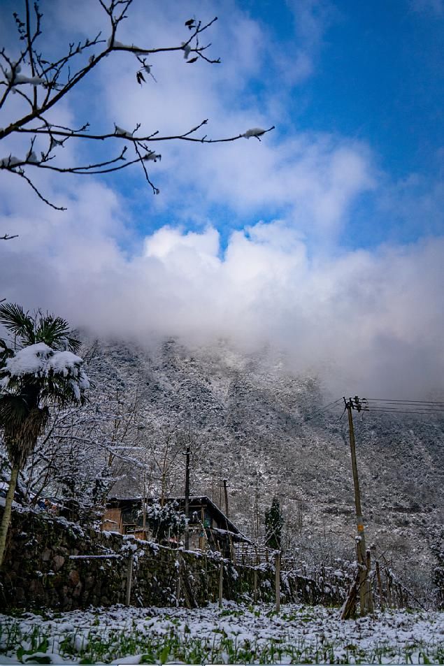 一大|德阳各地雪景美照大曝光！隔壁城市都羡慕哭了！一大波视频照片……