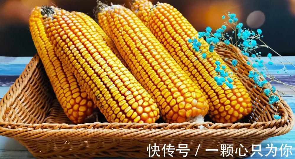 薏米|冬天,对人体好处最多的10种杂粮,尤其是后5种,人们很少吃