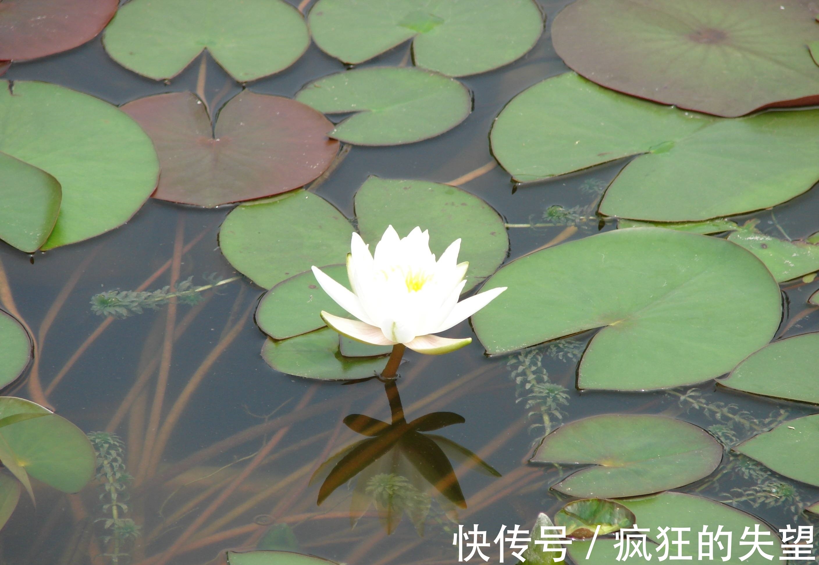 空性@对于鬼神，你信还是不信？《心经》中给出这样的解释