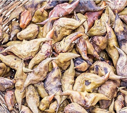 功效|这种农村水里长出来的植物，不仅能补脾益气，还有减肥的功效！