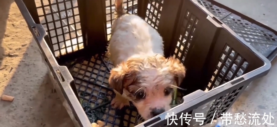 up主|隐秘的电商生意：我花35块网购，收到一具尸体