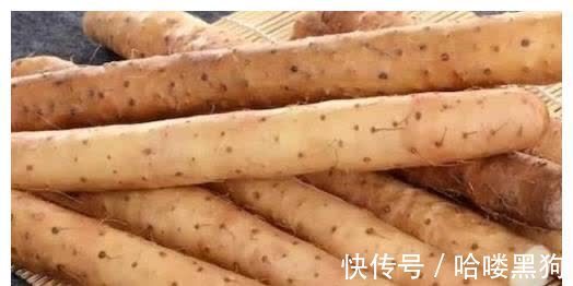 含有|这6类人最适合吃山药,不仅能够防病保健,还能够延年益寿!