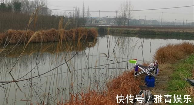 钓鱼|深秋钓鲫鱼,4钓4不钓,只要方法得当,半斤以上大板鲫连竿上