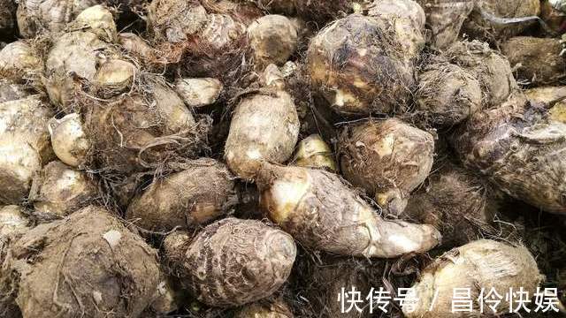 宽叶|菜贩子不外传的8个买菜小窍门,新鲜品质好,照着买准没错