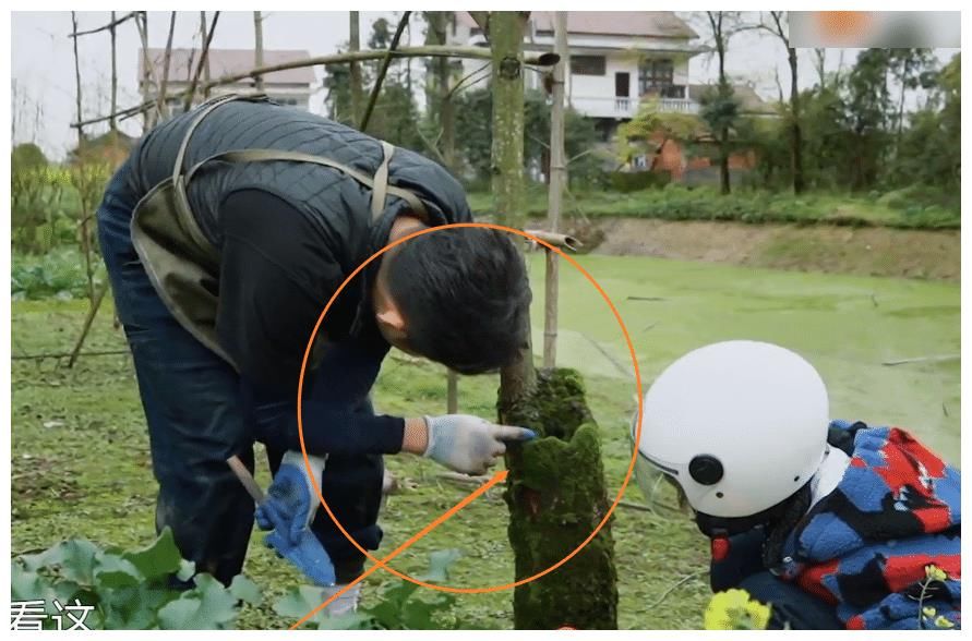 蘑菇屋正式迎客，继全能刘晓邑圈粉无数，下期的顶流小花让人沸腾