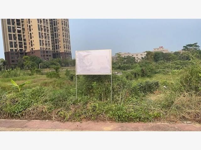 地块|江北东区再挂地!毛坯最高19008元/㎡!