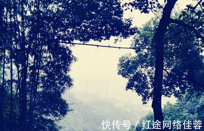 南山书院|重庆最美城市步道，这5条古道你一定要知道，感受山城韵味