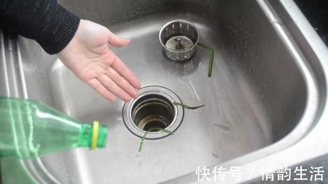 下水道|洗碗池里放一个塑料瓶，作用真厉害，我也是刚知道，尽快告诉家人