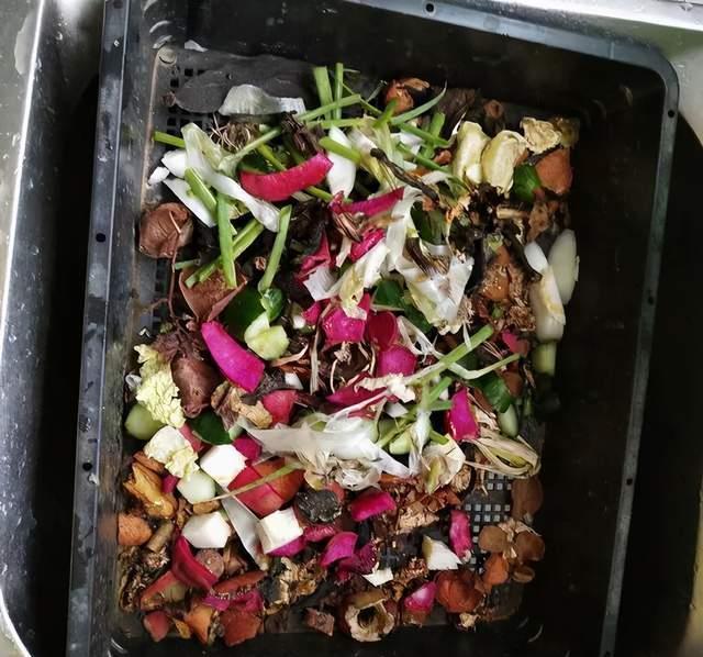  实用|冬天的泡沫箱别扔，扔了就是扔钱，养花太实用