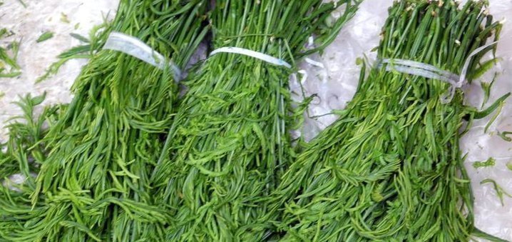 农村|农村以下野菜被称为山野菜之王，能降血压、清洁肠道、美容养颜
