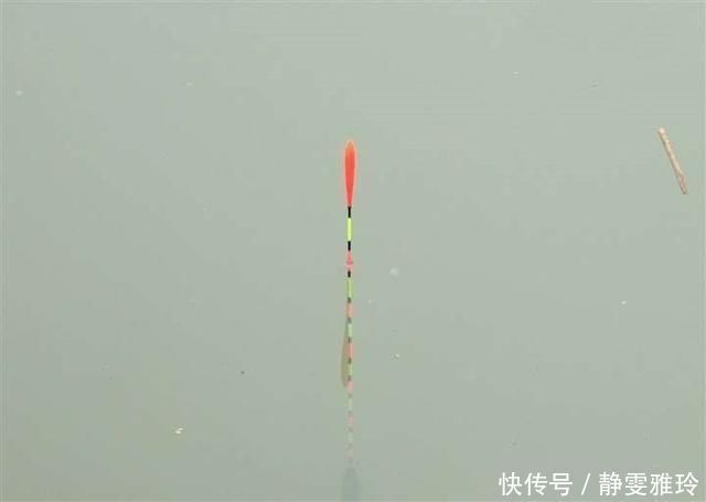 钓鱼|窝料打下去后,怎么都不发窝,到底是没有鱼,还是死窝了