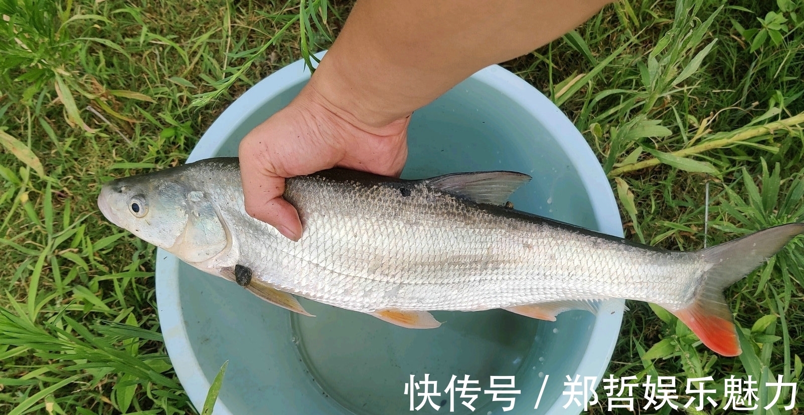 钓鱼人|冤不冤？江西钓鱼人网上炫耀渔获，被网友一致吐槽