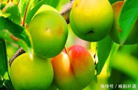 食物|女性爱美,常吃4种食物,可祛皱嫩肤,延缓衰老,呵护“子宫”