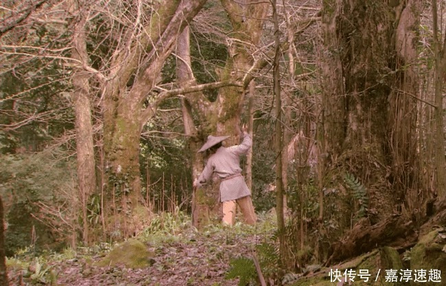 原型|孙悟空是确有其人,还是吴承恩杜撰的?历史上是否有他的原型可寻