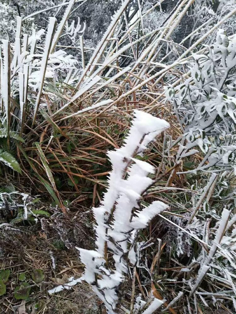 好汉|和平仙女石下雪了，好汉顶与缺牙山的雪还在路上？？