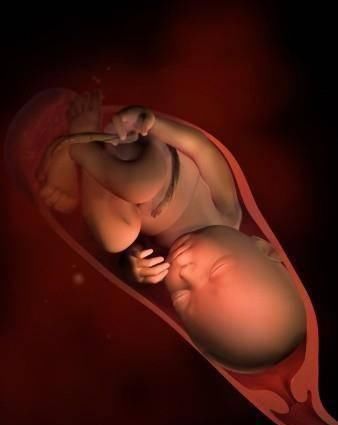 宝宝|一组图记录怀胎十月,胎儿发育全过程,看完后,感叹生命神奇