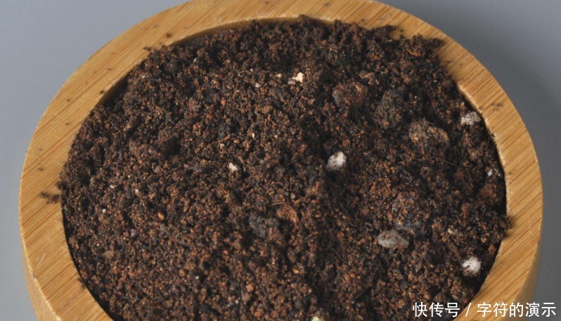 花土|养花选土,注意这些小事情,新人秒变老手,养啥旺啥