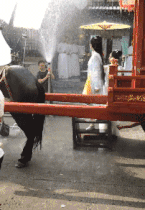 |搞笑趣图:为了给闺蜜拍个照,妹子也是够拼了