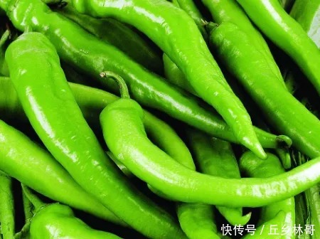 辣椒学会这样做,好吃又减肥,开胃也下饭,比吃肉还要解馋哦