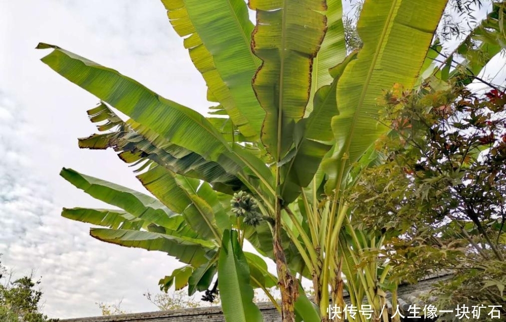 二乔|秋“话”二乔公园