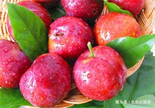 长寿|想长寿全靠吃4种食物,排毒抗衰,补益身体,补血益气,有益健康