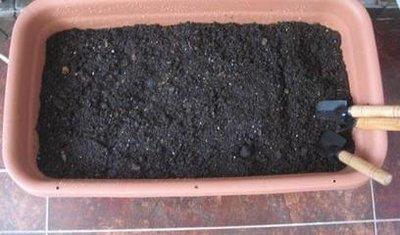 搞来的养花土,少做这一步,养什么花都活不了