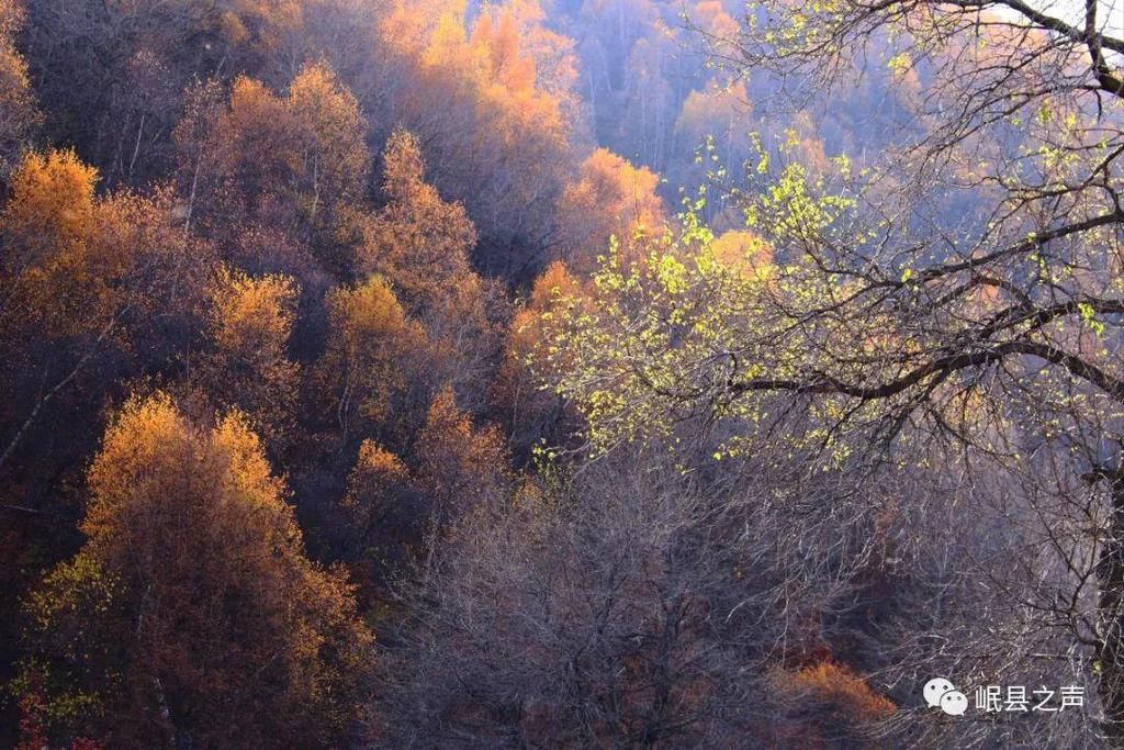 岷县的春夏秋冬，看不够！