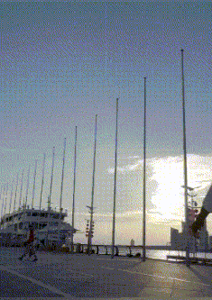 |搞笑GIF:后面的妹子,你怎么不用手推门,看着为你心疼!