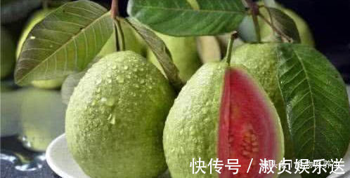 马齿苋|秋天来了，推荐多吃以下食物，排毒清肠，甩掉大肚腩，早吃早受益