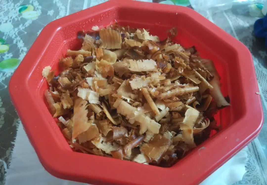 花盆|君子兰种子催芽很容易,只需简单操作几步,很快收获一盆苗儿