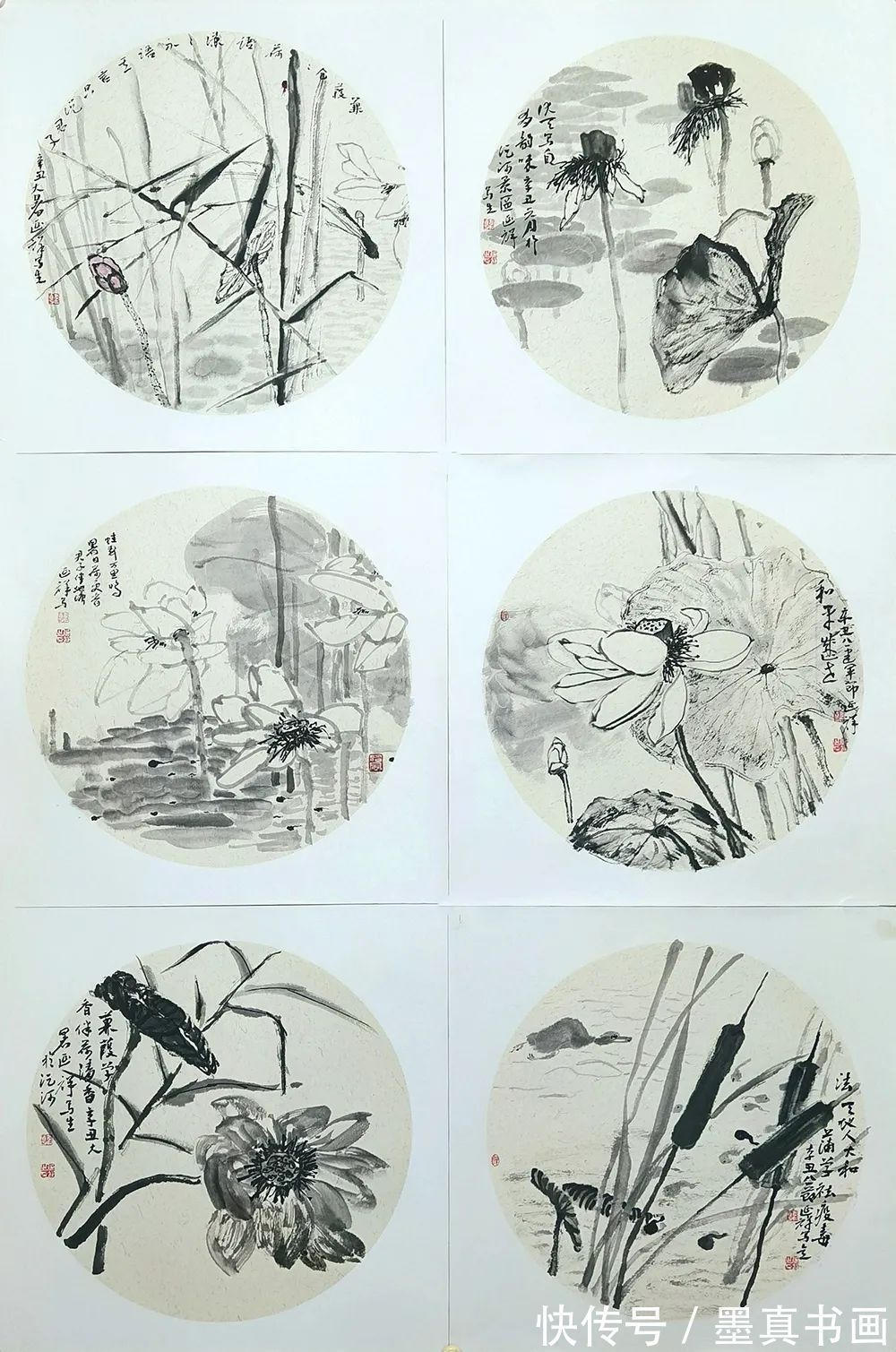 荷花写生稿&「韩延祥」|丹青追梦 水墨本色-中国当代书画名家个人云展览