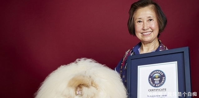 直击|直击最难以想象的十大吉尼斯纪录,这些你肯定不知道!