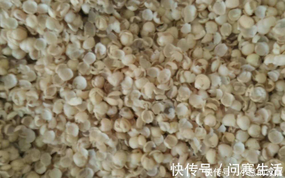 垃圾|家里有这3种东西不要扔,你以为是垃圾,可它们是植物最好的肥料