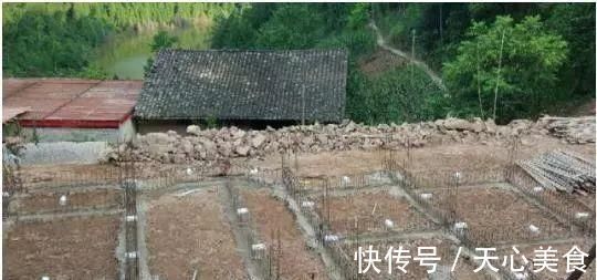 完工|实拍丨80后回乡替父母盖房养老,40万小别墅成全村最豪宅