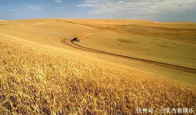 过年为什么在冬天,不在夏天?“年”到底什么意思?