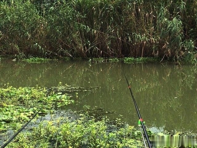 钓鱼|钓鱼圈的这几个“怪事”，大部分钓鱼人都遇到过