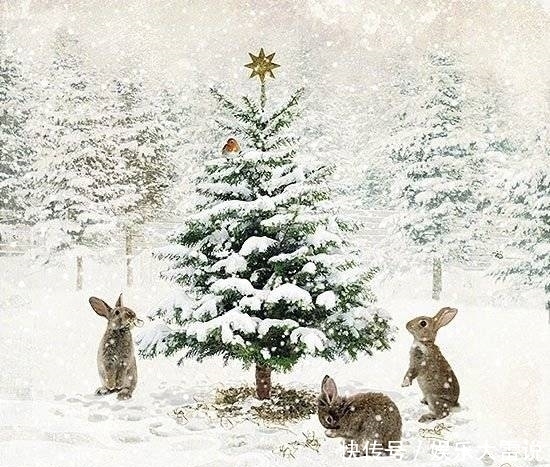 风格|画师笔下的雪中精灵,治愈系风格!