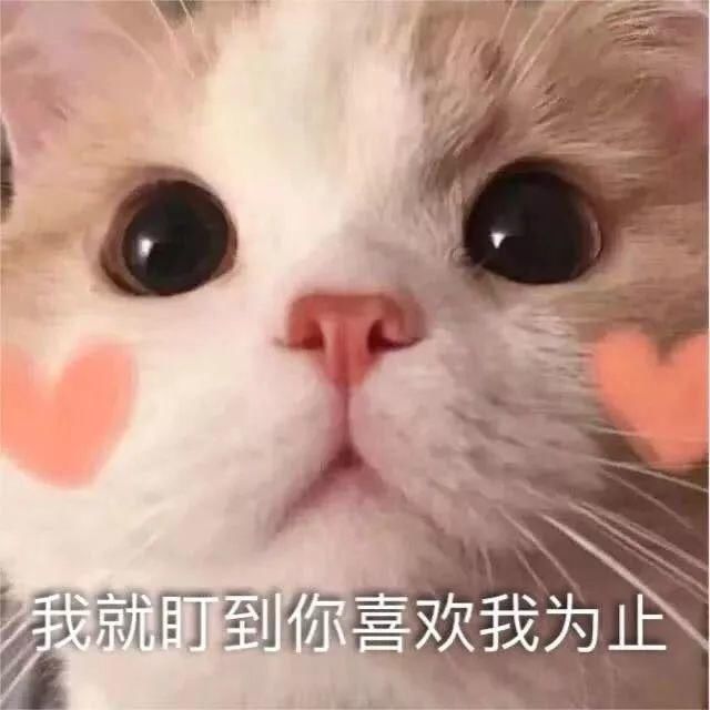 郭敬明口无遮拦,尔冬升愤然离席,导师抱团的遮羞布终于被扯掉