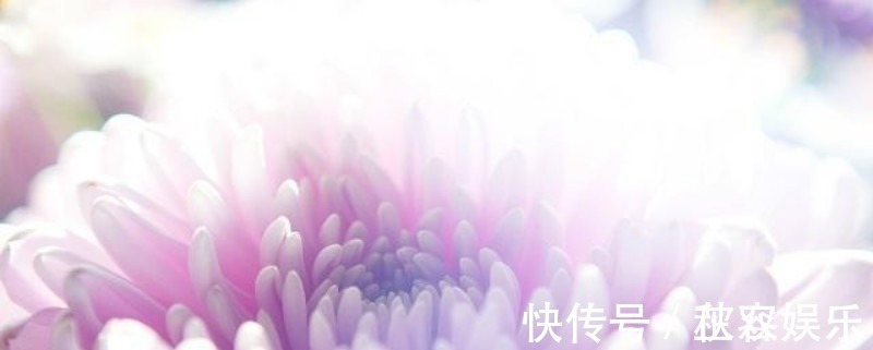 王安石#王安石第二次拜相,他的老对手苏轼不满,于是写下一首讽刺的诗!