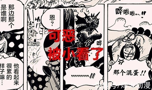 白胡子|海贼王1025话同样都是四皇团,为何凯多团被喷是最弱的队伍