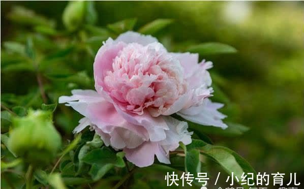 女人|天生“旺夫享福”的4大生肖女,不拜金不攀比,娶到就是赚到!