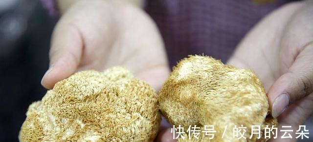 野生|农村中最珍贵的野菜,上百元一斤,能延缓衰老,还可治疗神经衰弱!