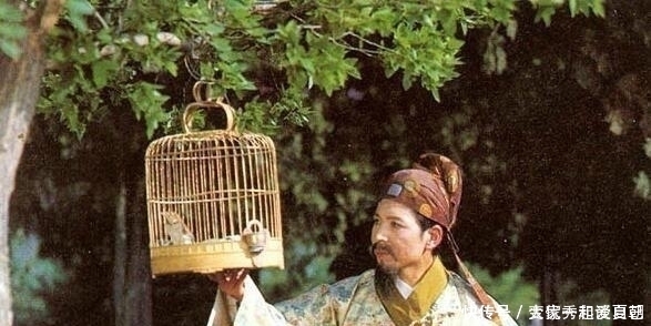 宁国府|红楼梦中宁国府的关系有多乱?贾珍为保全自己,只有让秦可卿闭嘴