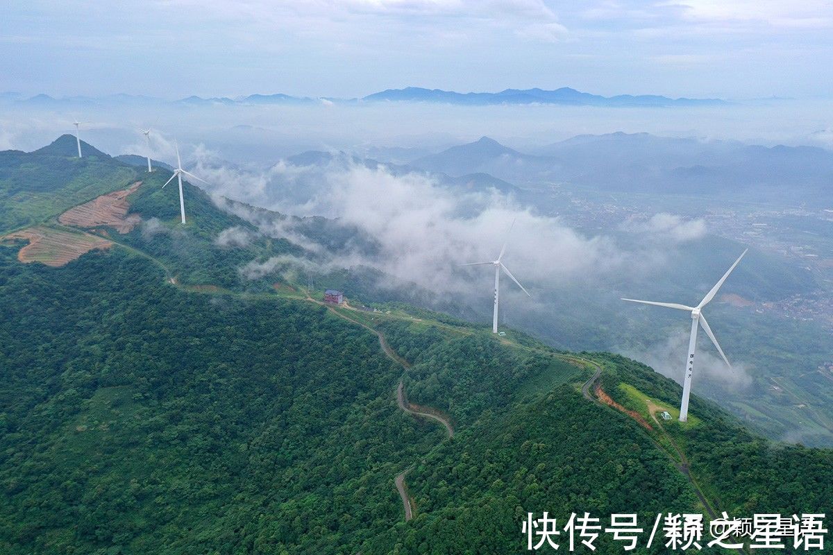 花海|宁波赏梅地，梅开成海，首选一二三