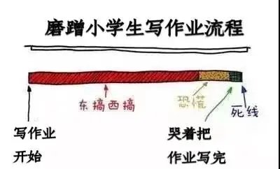 叶听枫|让一个妈妈疯魔的，不是二胎，不是穷，而是孩子上了小学…