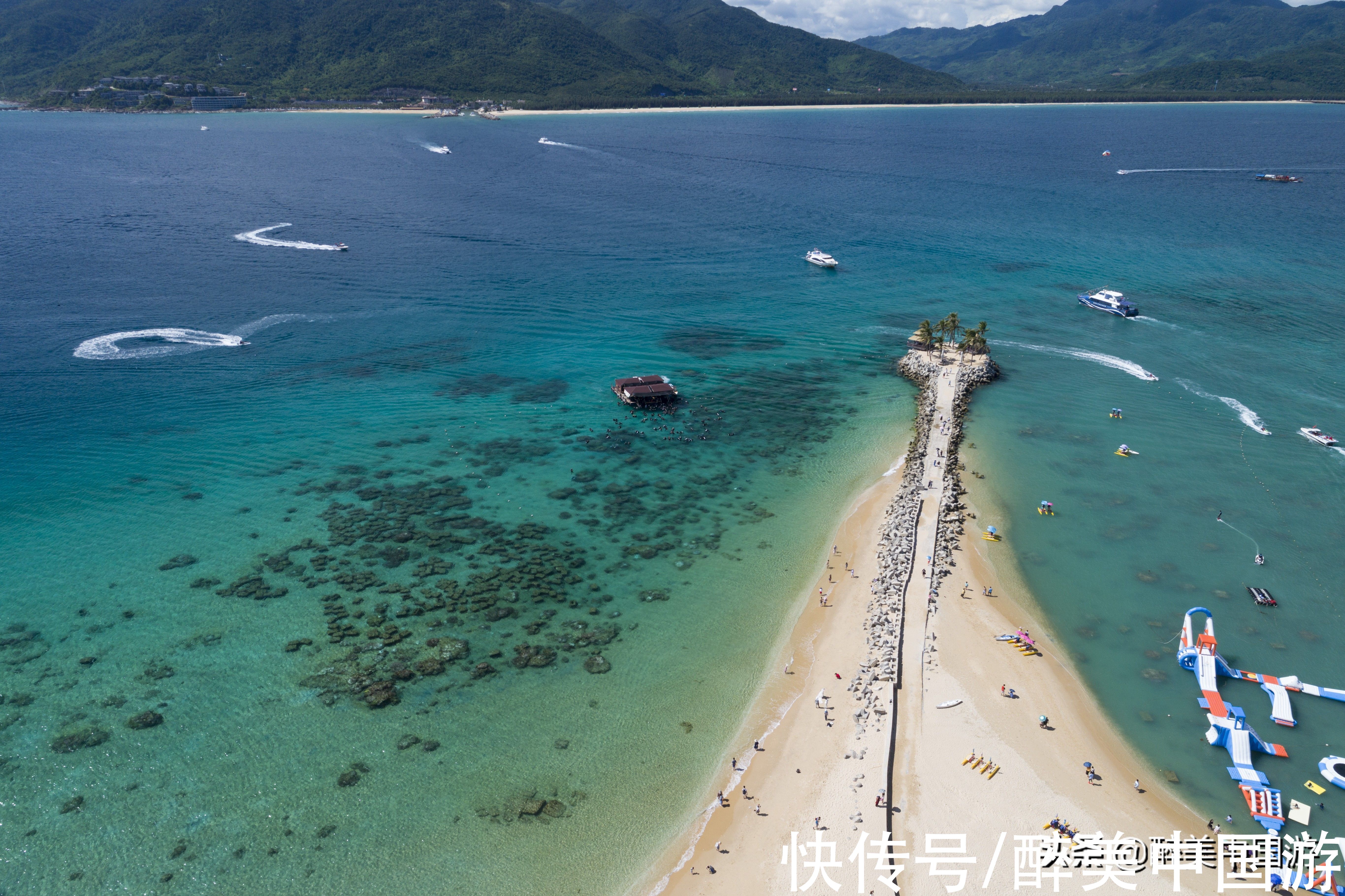 海底生物|游览分界洲岛，潜水赏景与动物互动，适合结伴游玩