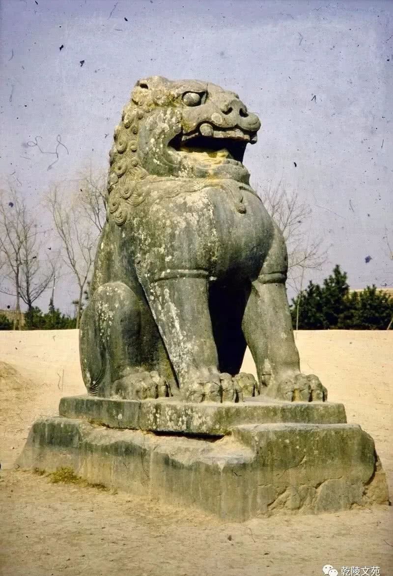 举世闻名|举世闻名的乾陵