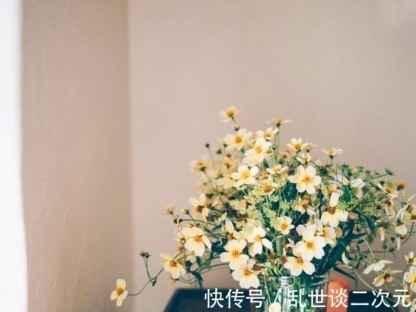 家居|日本太太的温暖家居,简单的一束花,整洁的收纳,呈现生活之美