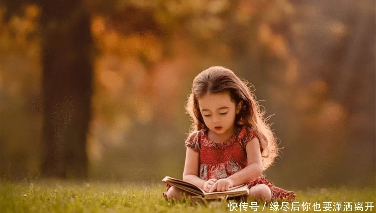 荷兰大学|荷兰大学教授:娃必经的“大脑飞跃期”,辅食吃得棒,聪明又强壮