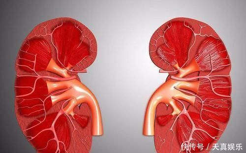 黑眼圈不全是熬夜引起的,肾虚、肝病,都会让眼圈“黑上加黑”